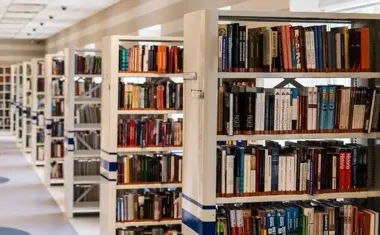 Gliwicka biblioteka walczy o Słoneczniki 2026 - osiem nominacji dla dzieci