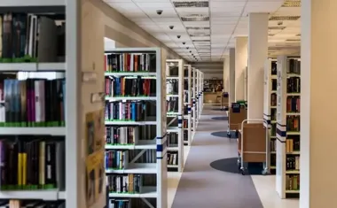 Letni grafik gliwickiej biblioteki. Gdzie oddać książkę między spacerem a plażą