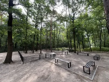 Bez zniczy i kwiatów. Pierwszy ekologiczny sektor pochówków w Gliwicach